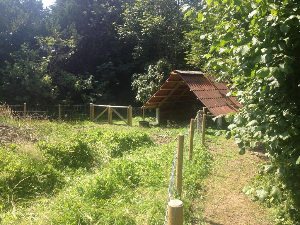 Kildegaarden Bed & Breakfast Frorup Εξωτερικό φωτογραφία
